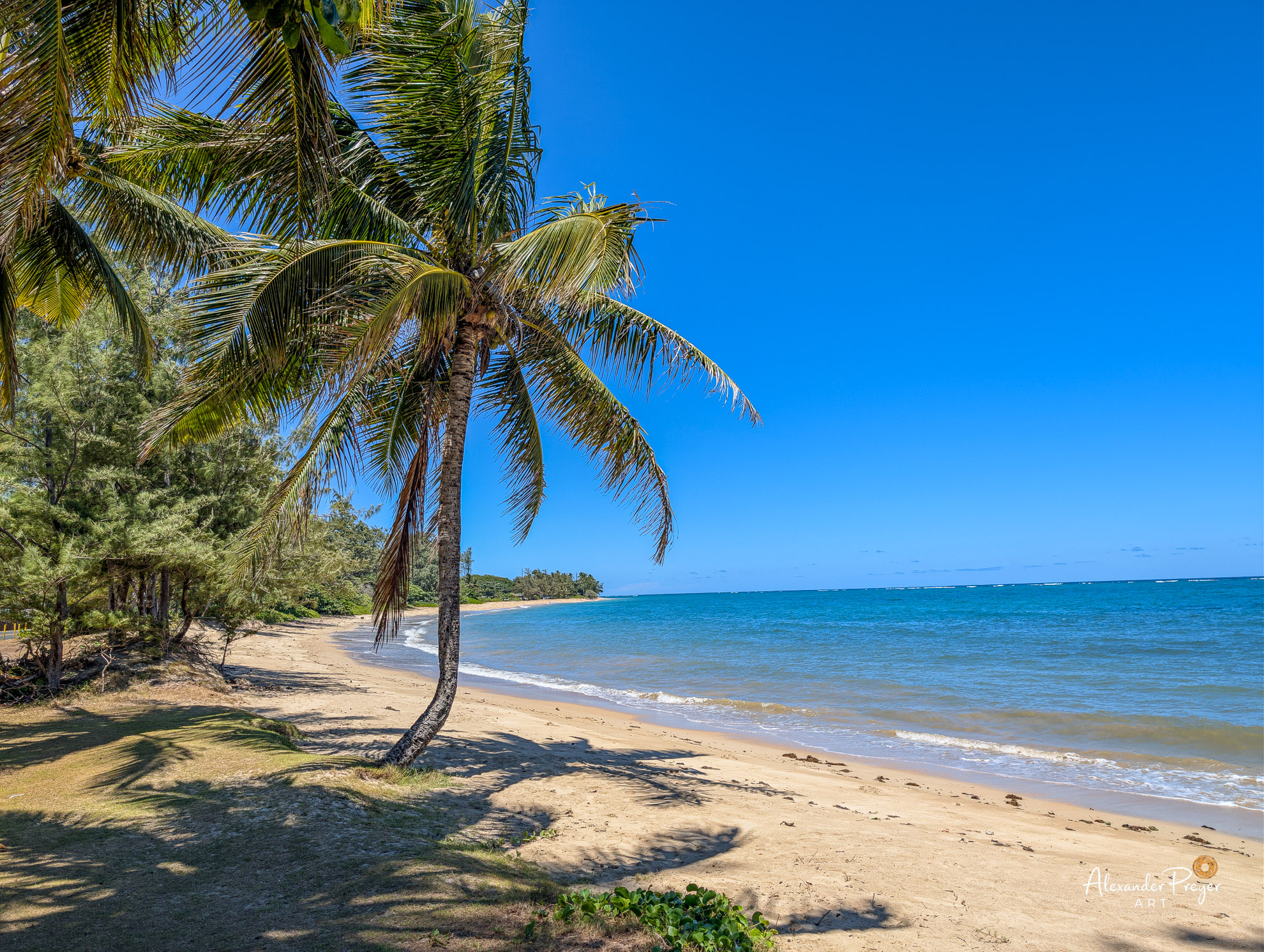 Strand Ostküste Ohau