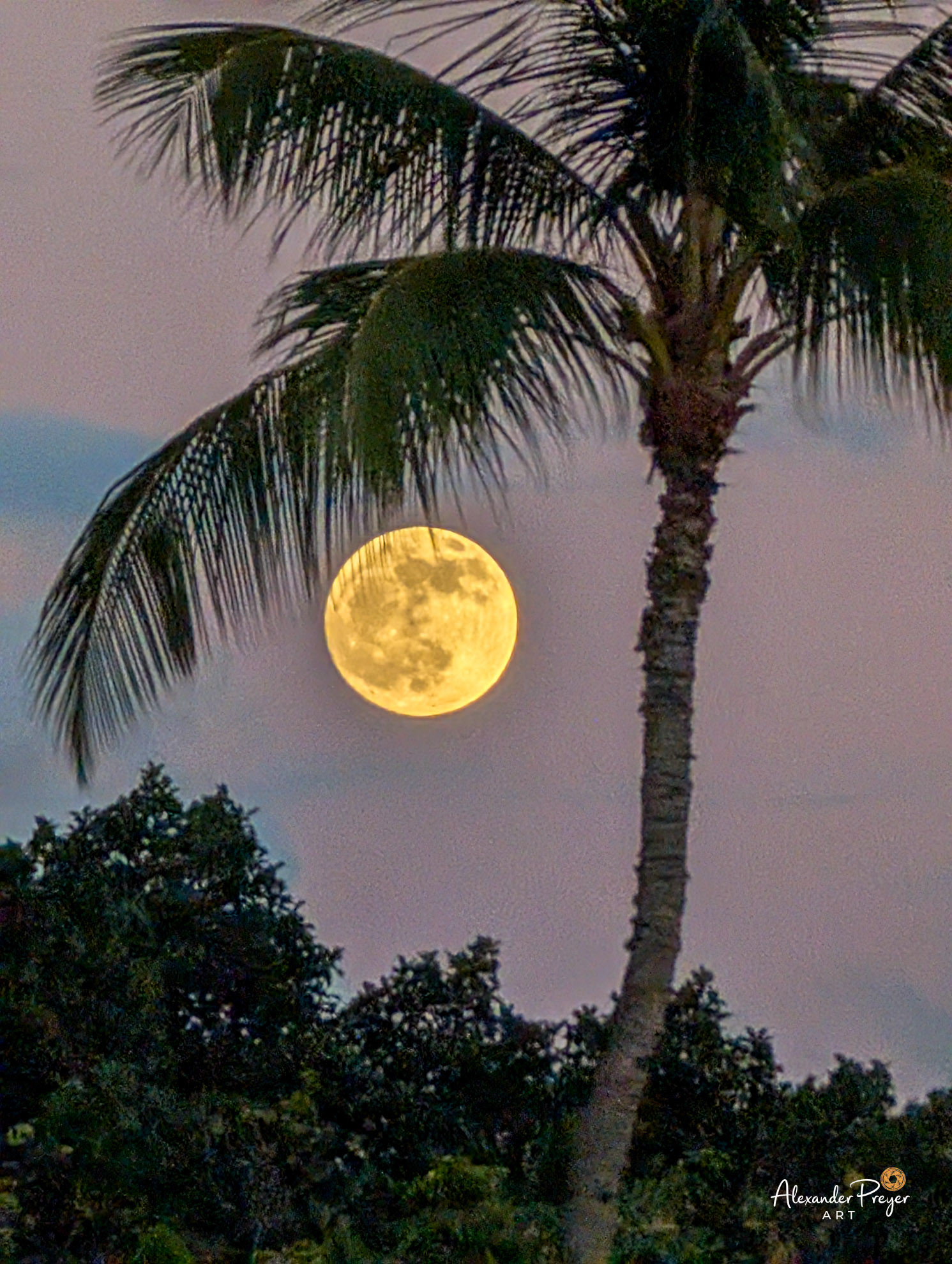 Vollmond Waikiki Beach Ohau