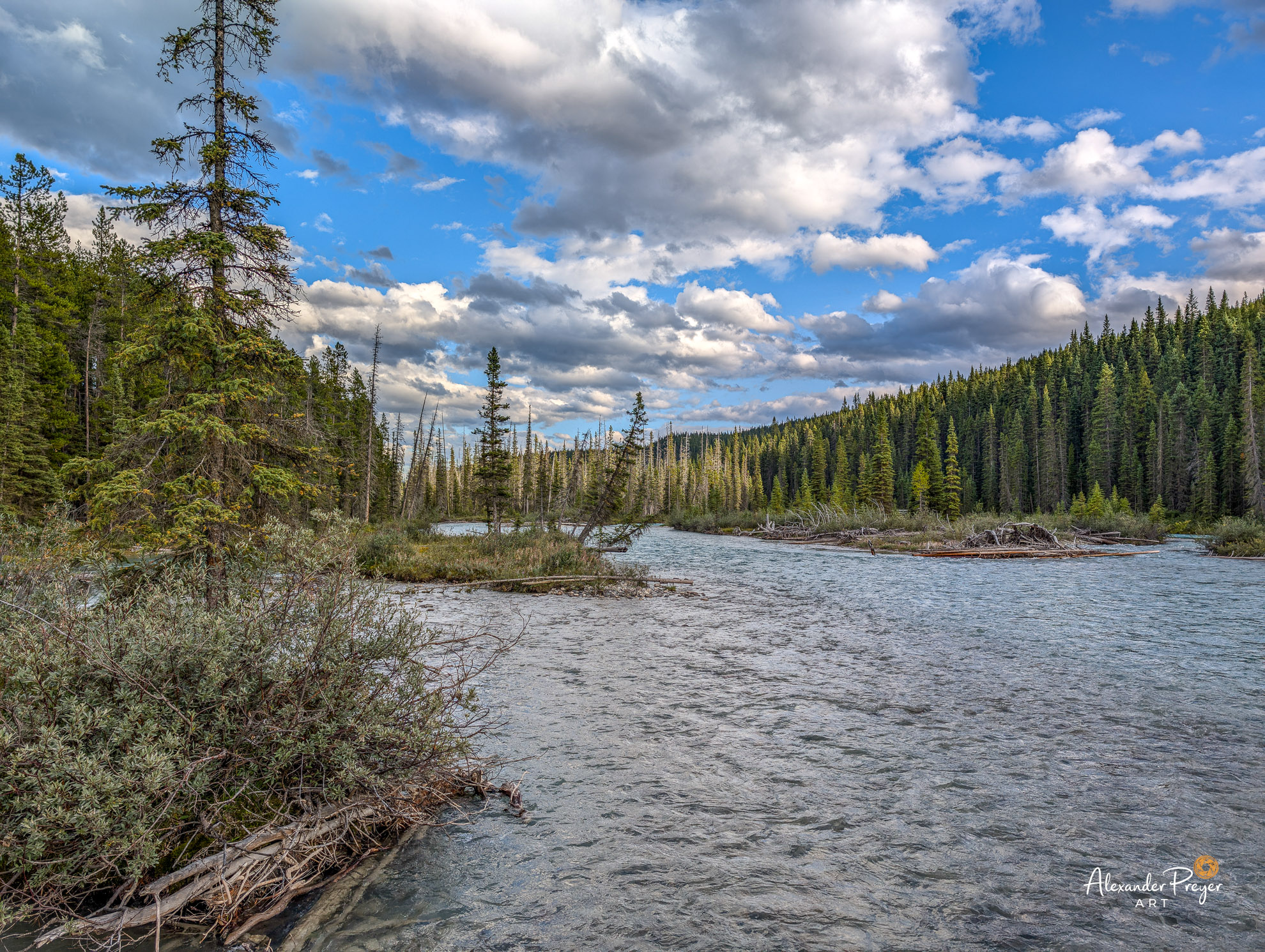 Bow River nahe Lake Louise