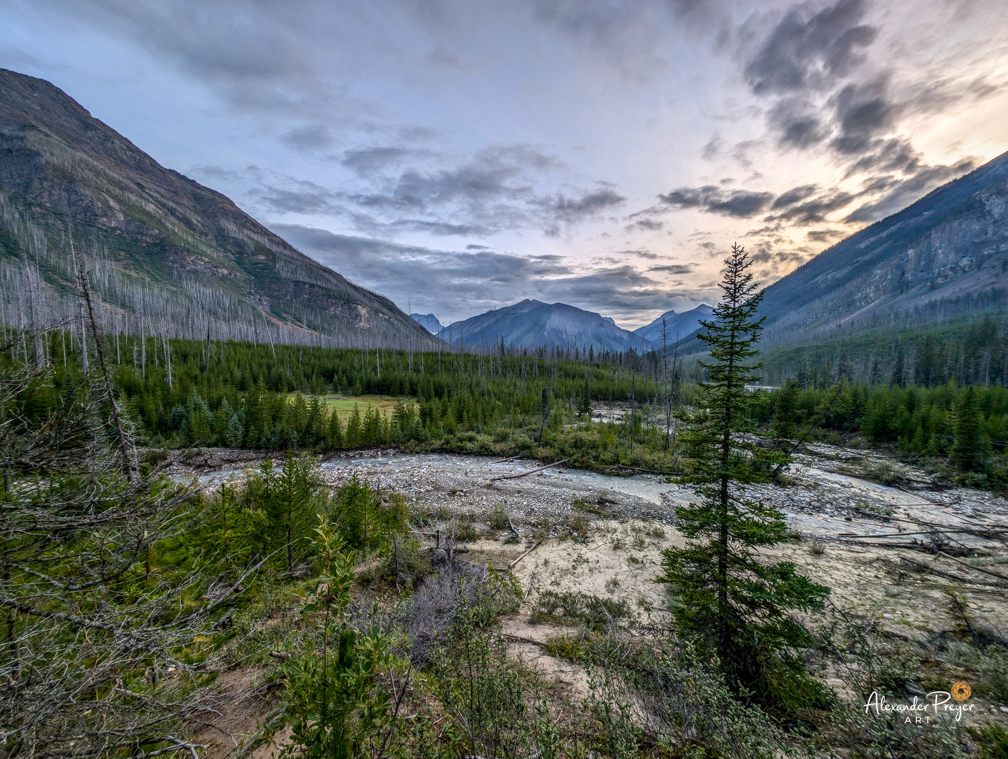 Wildnis auf dem Weg nach Jasper
