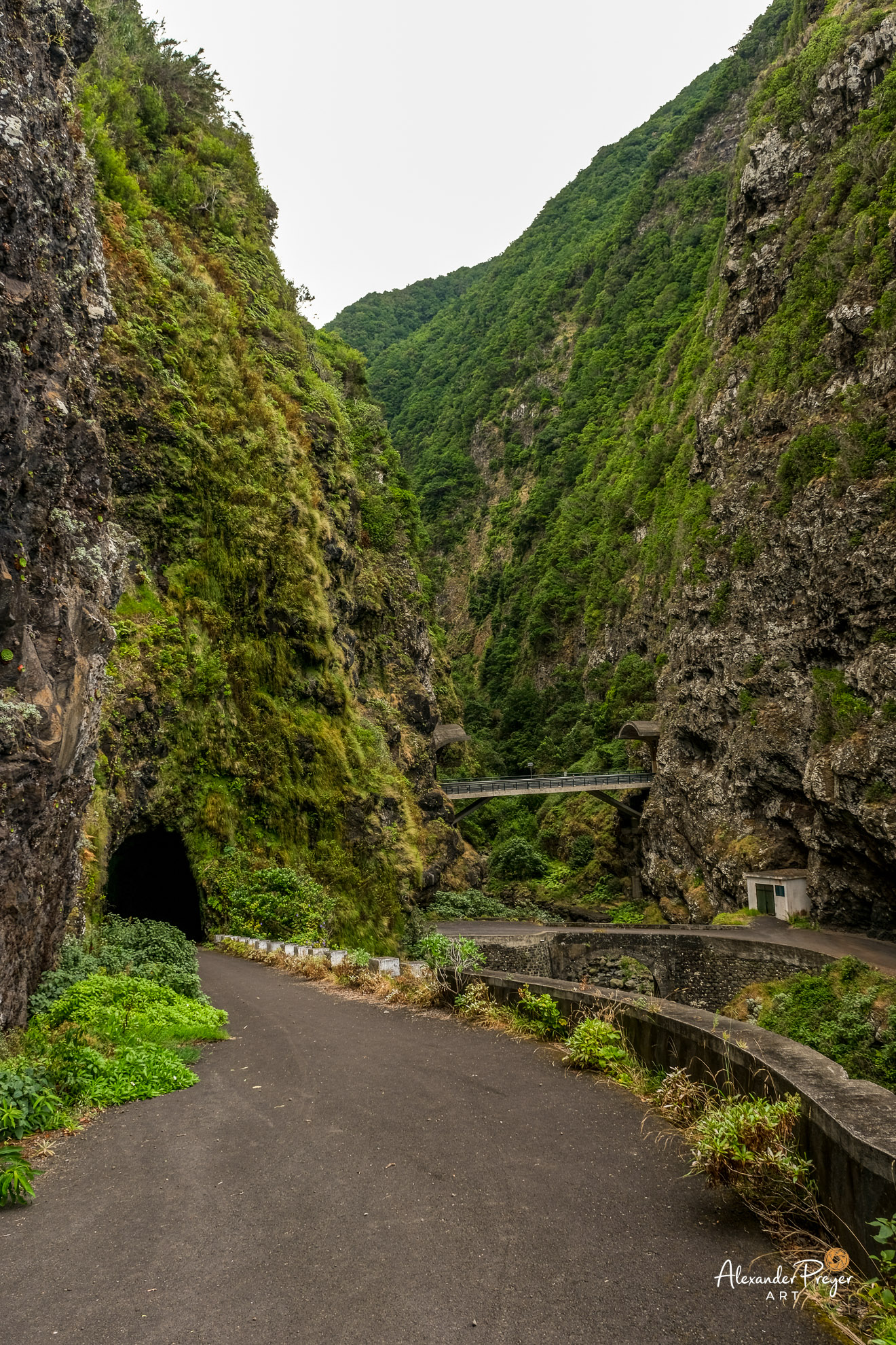 Madeira Nordküste Schlucht